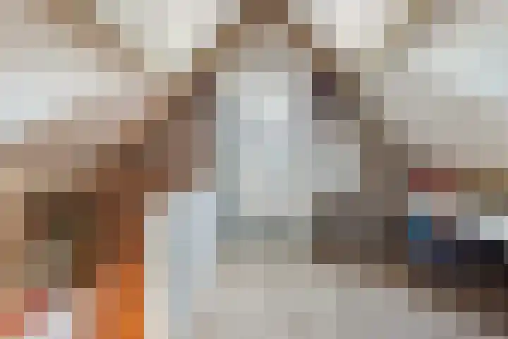 Breerijt 40 Bergeijk thumbnail 25