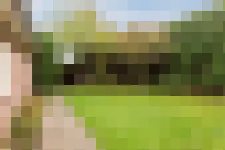 Breerijt 40 Bergeijk thumbnail 27