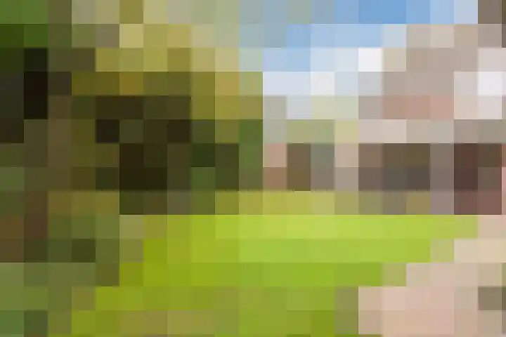 Breerijt 40 Bergeijk thumbnail 31
