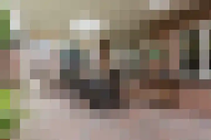 Breerijt 40 Bergeijk thumbnail 32