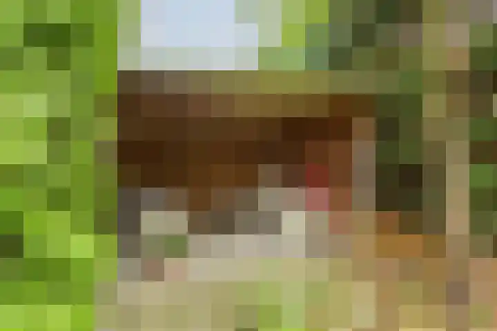 Breerijt 40 Bergeijk thumbnail 33