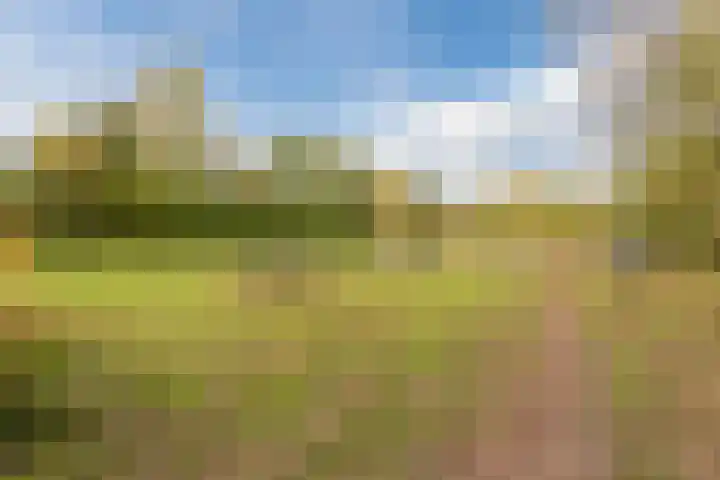 Breerijt 40 Bergeijk thumbnail 34