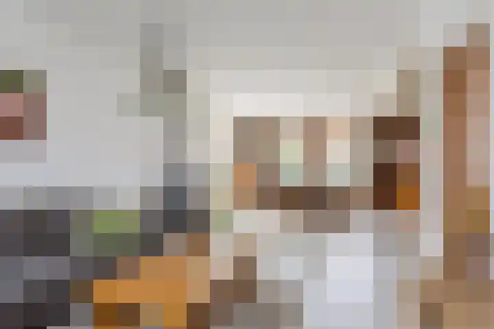 Breerijt 40 Bergeijk thumbnail 4