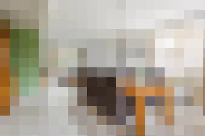 Breerijt 40 Bergeijk thumbnail 8