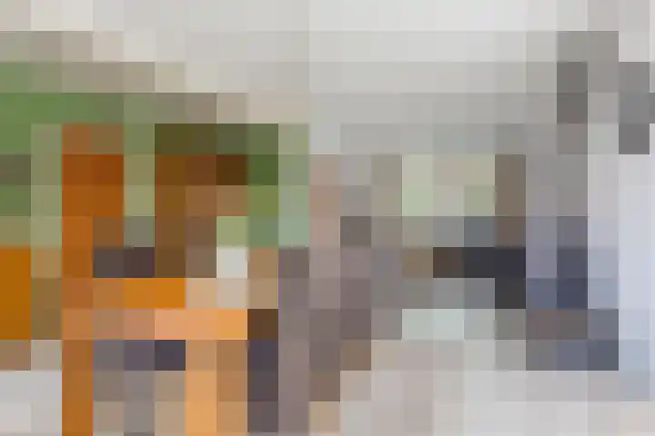 Breerijt 40 Bergeijk thumbnail 9