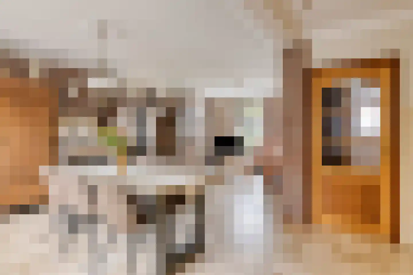 Breerijt 7 Bergeijk thumbnail 17