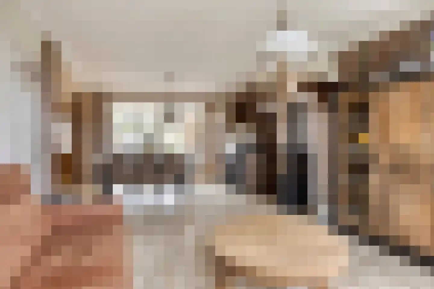 Breerijt 7 Bergeijk thumbnail 20