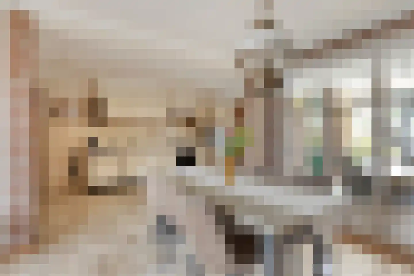 Breerijt 7 Bergeijk thumbnail 23