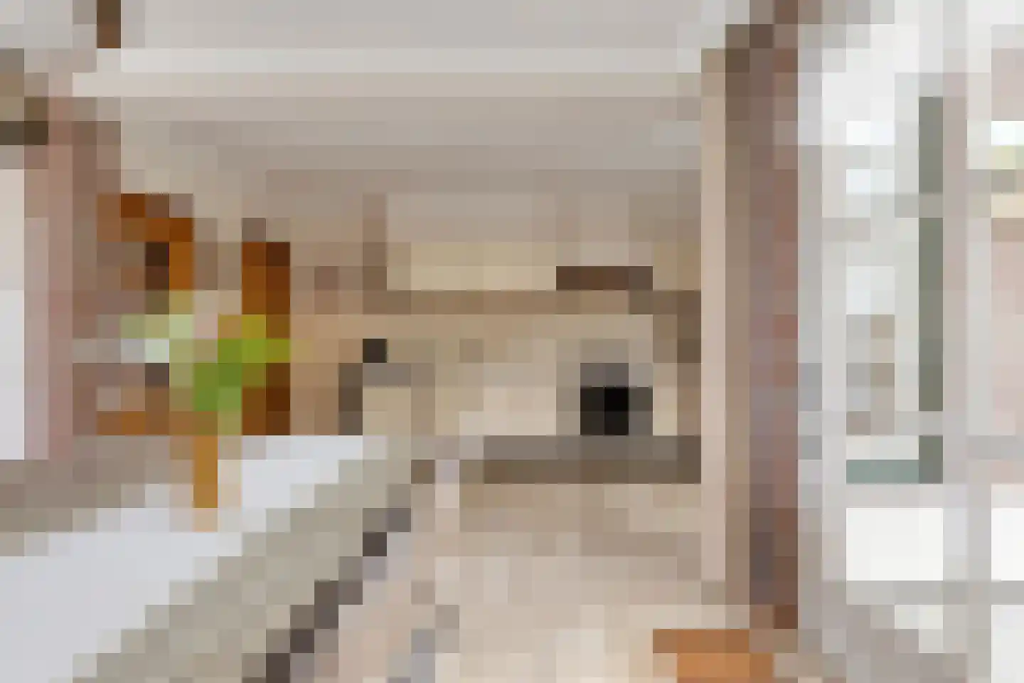 Breerijt 7 Bergeijk thumbnail 24
