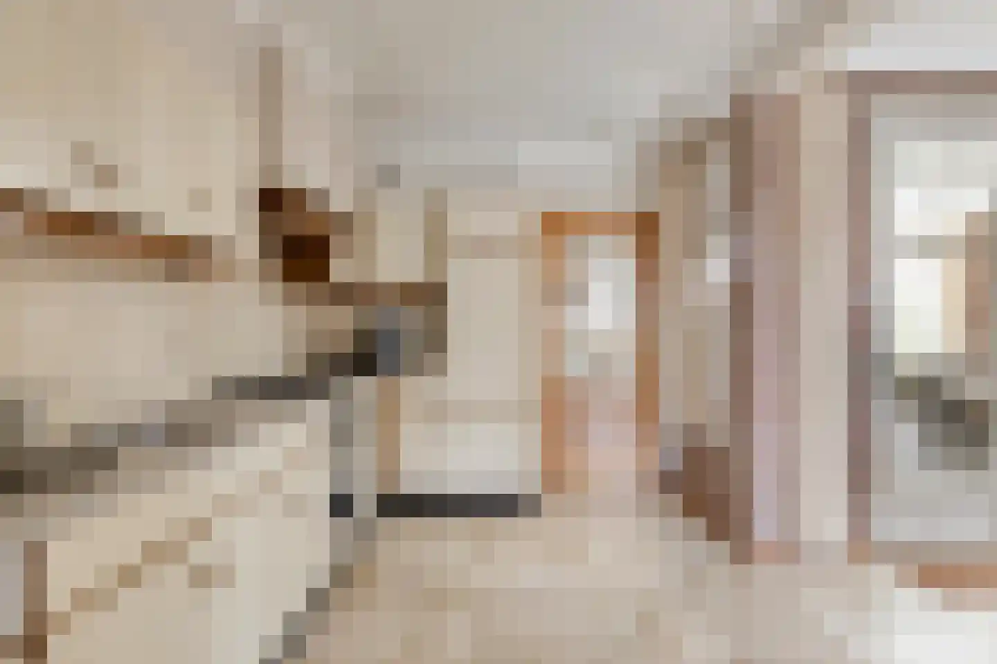 Breerijt 7 Bergeijk thumbnail 26