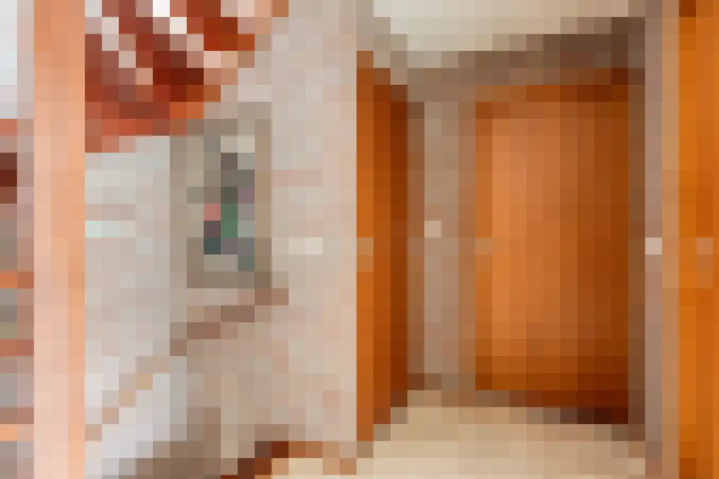 Breerijt 7 Bergeijk thumbnail 32
