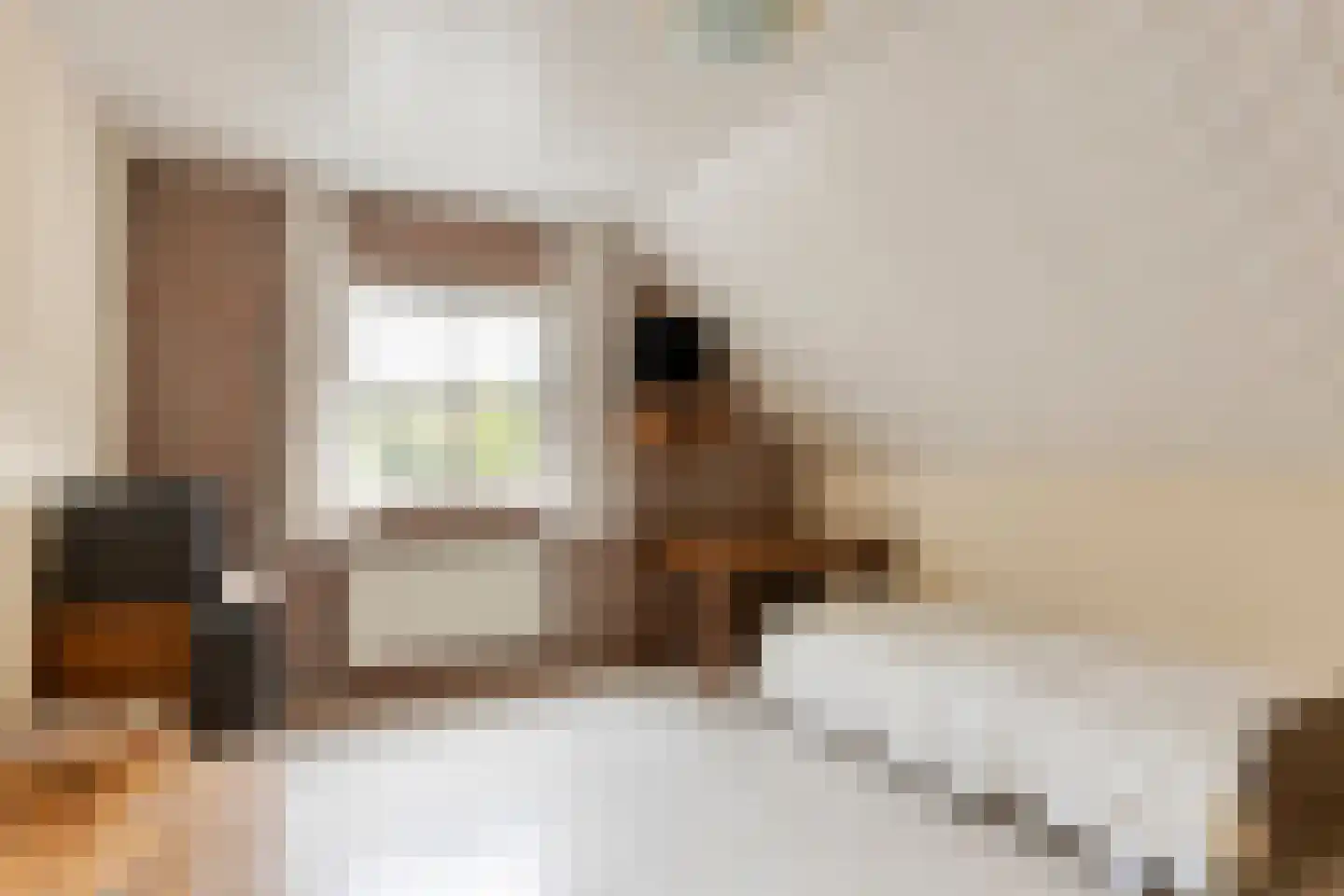 Breerijt 7 Bergeijk thumbnail 37