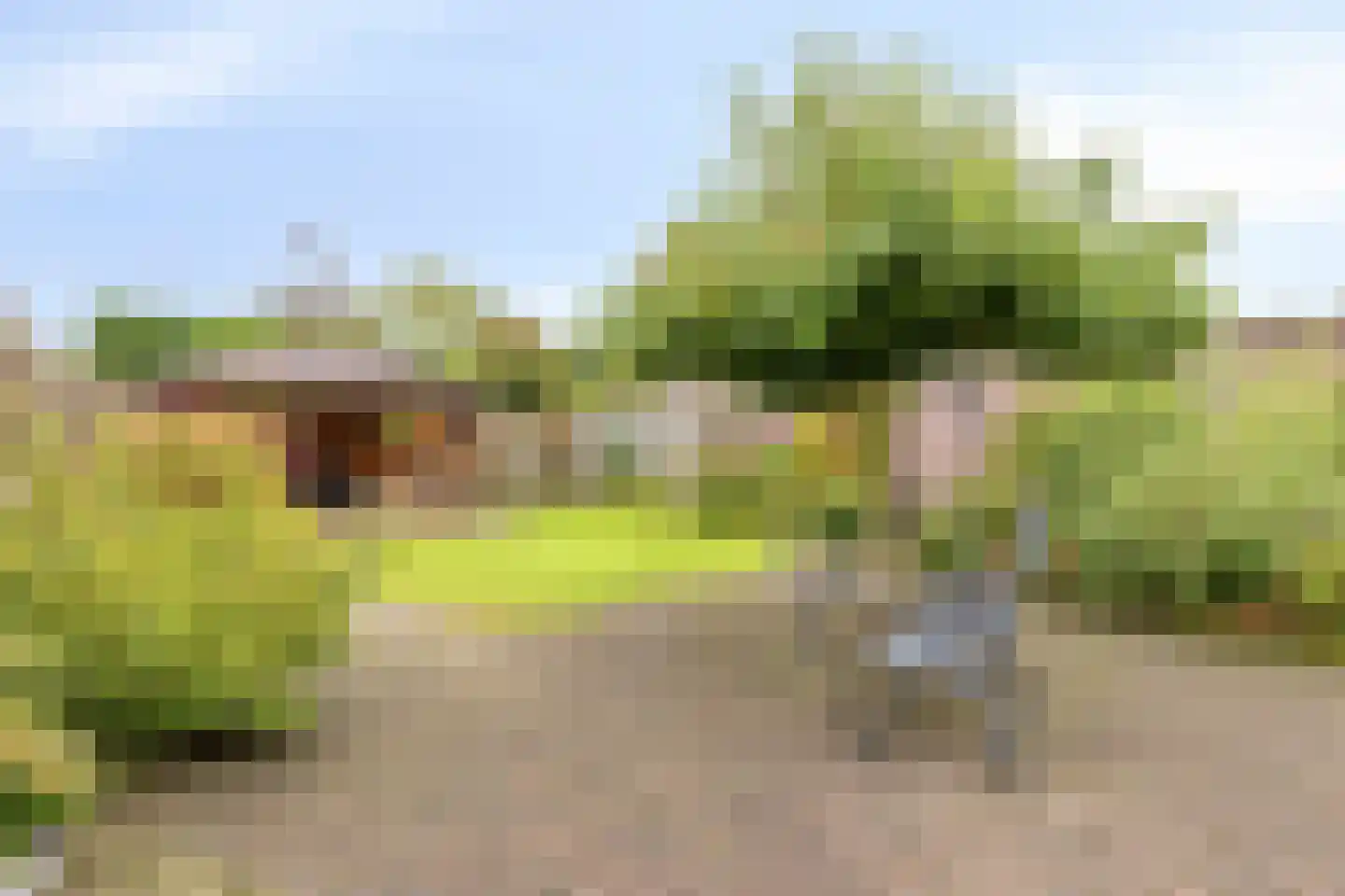 Breerijt 7 Bergeijk thumbnail 44