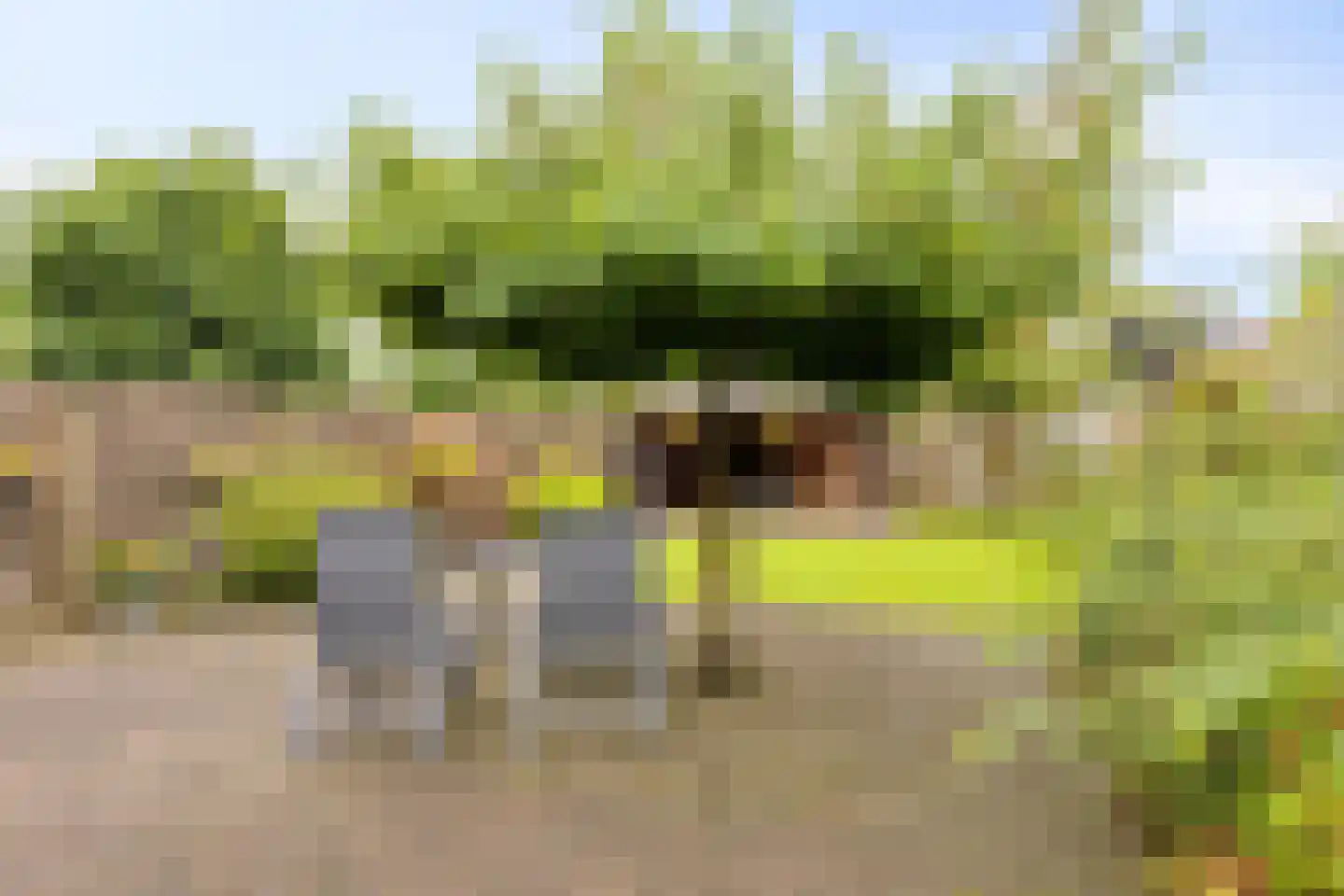 Breerijt 7 Bergeijk thumbnail 45