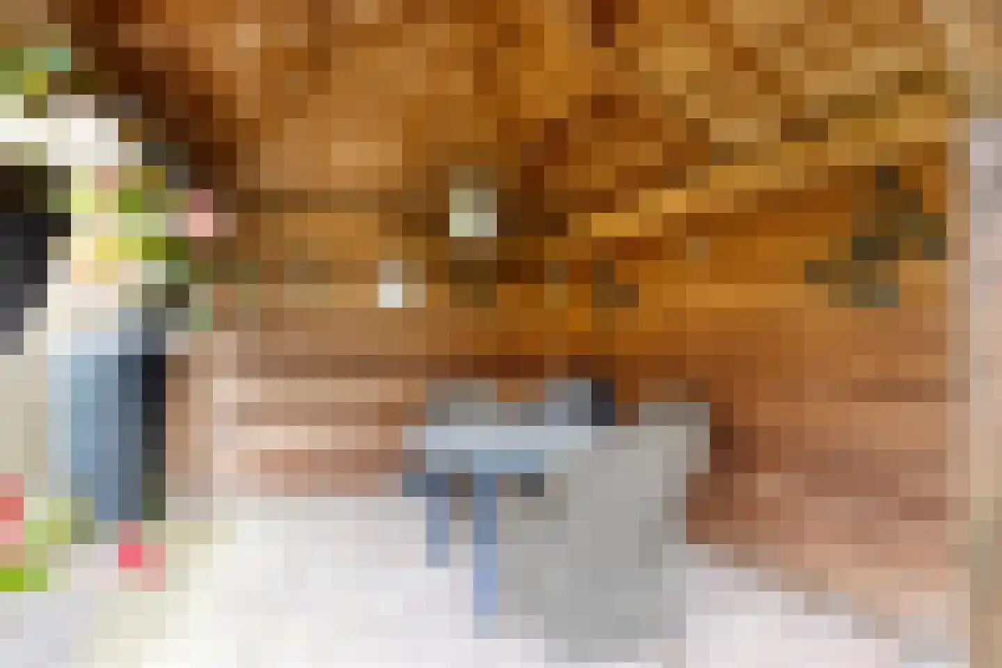 Breerijt 7 Bergeijk thumbnail 47
