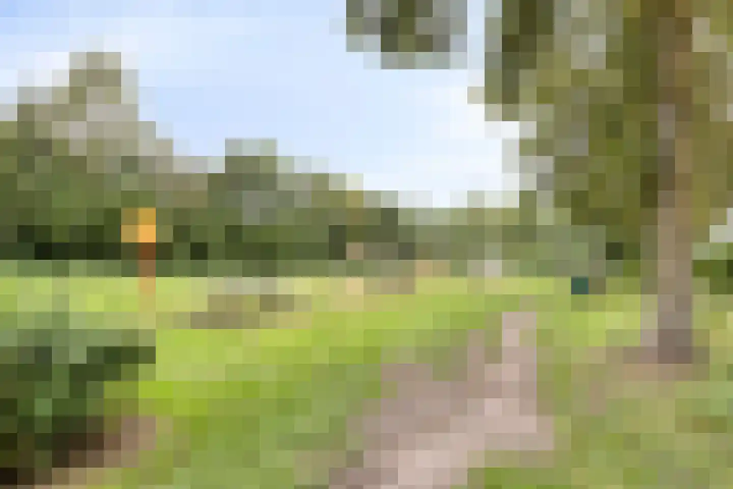 Breerijt 7 Bergeijk thumbnail 51