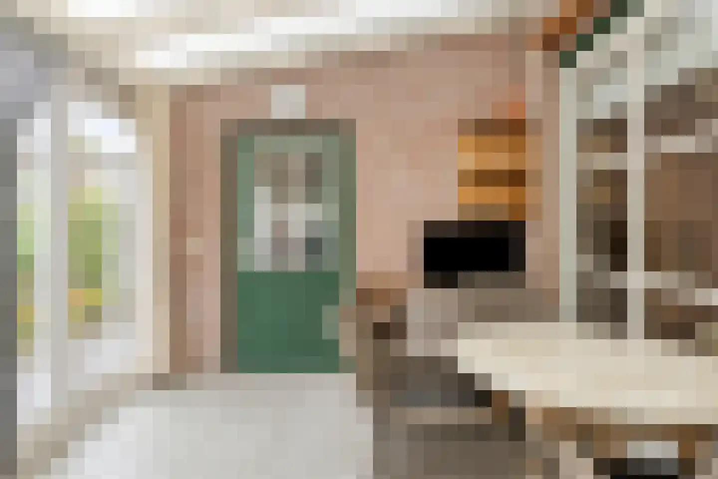 Breerijt 7 Bergeijk thumbnail 6
