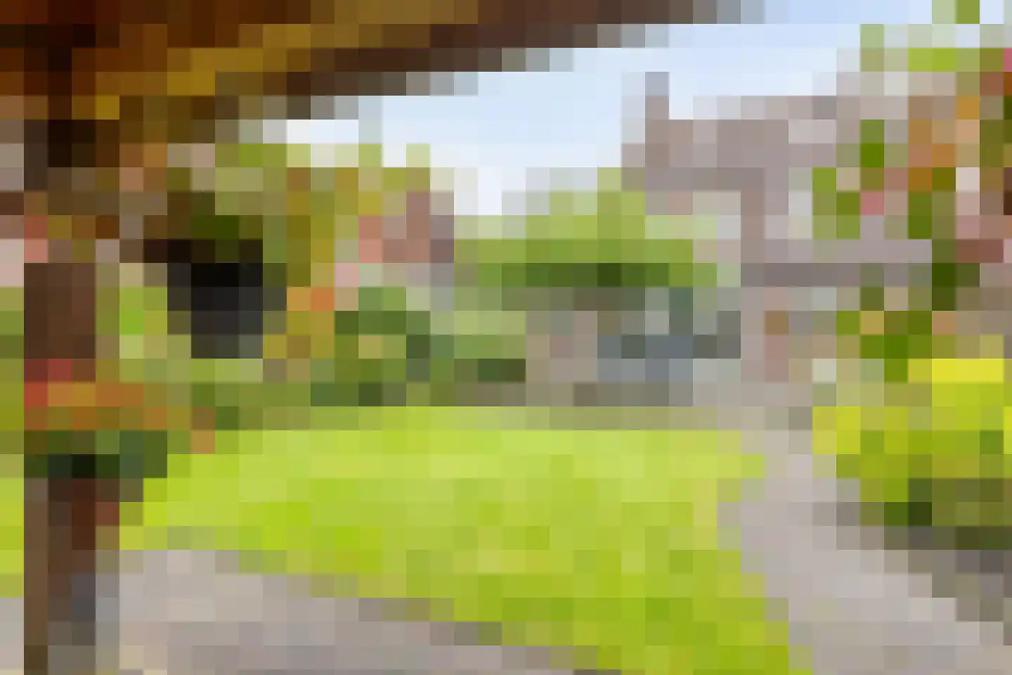 Breerijt 7 Bergeijk thumbnail 8