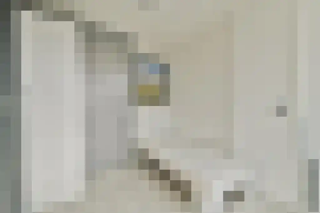 Breesaperhof 33 A Velsen-Noord thumbnail 19