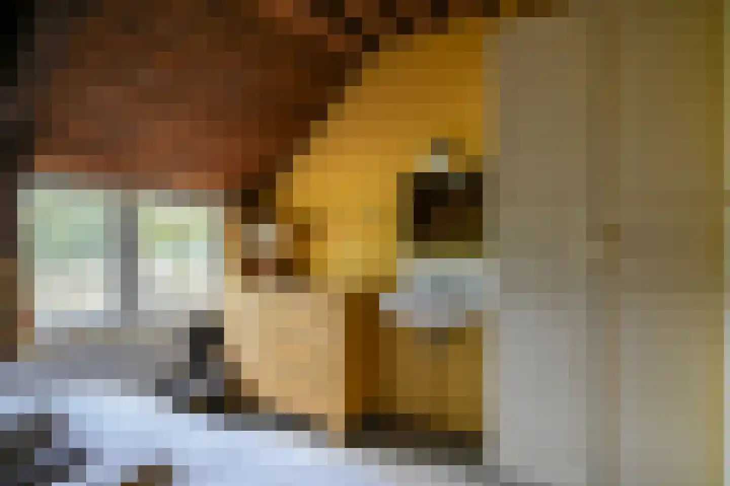 Breeschoten 3 Scherpenzeel thumbnail 10