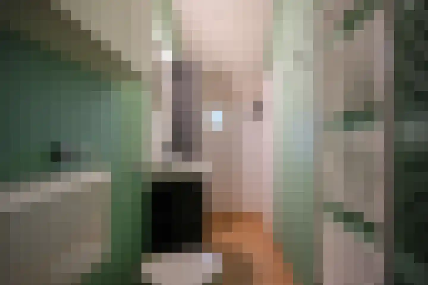 Breeschoten 3 Scherpenzeel thumbnail 12