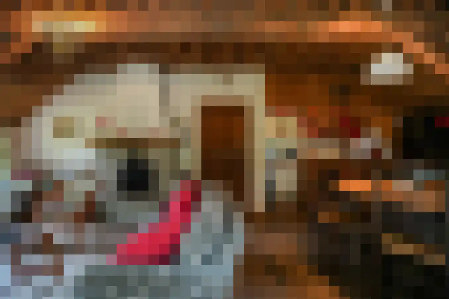 Breeschoten 3 Scherpenzeel thumbnail 14