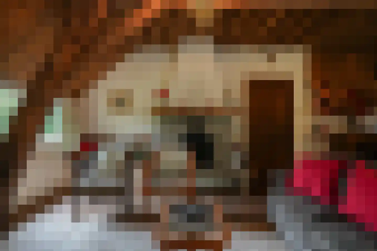 Breeschoten 3 Scherpenzeel thumbnail 16