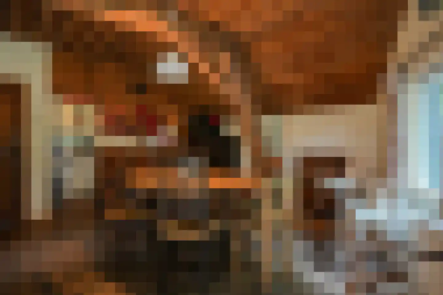 Breeschoten 3 Scherpenzeel thumbnail 20