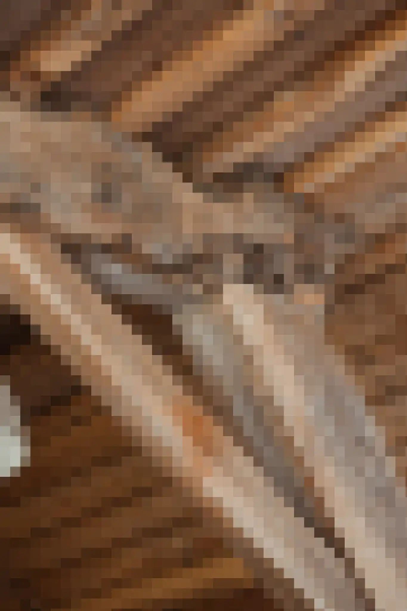 Breeschoten 3 Scherpenzeel thumbnail 22