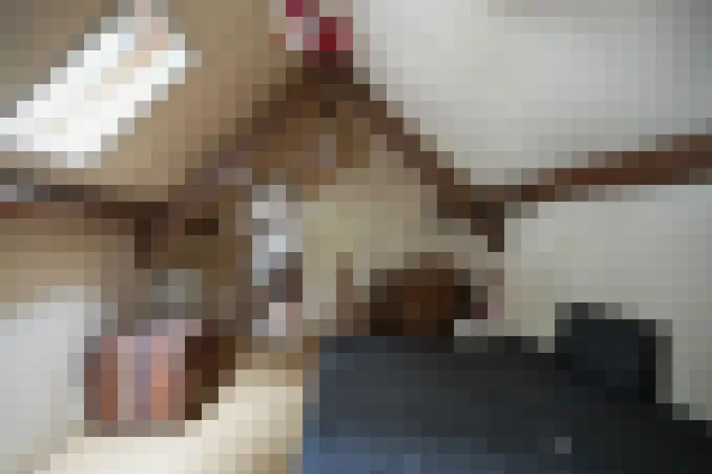 Breeschoten 3 Scherpenzeel thumbnail 26