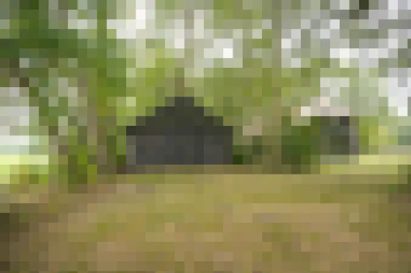 Breeschoten 3 Scherpenzeel thumbnail 30