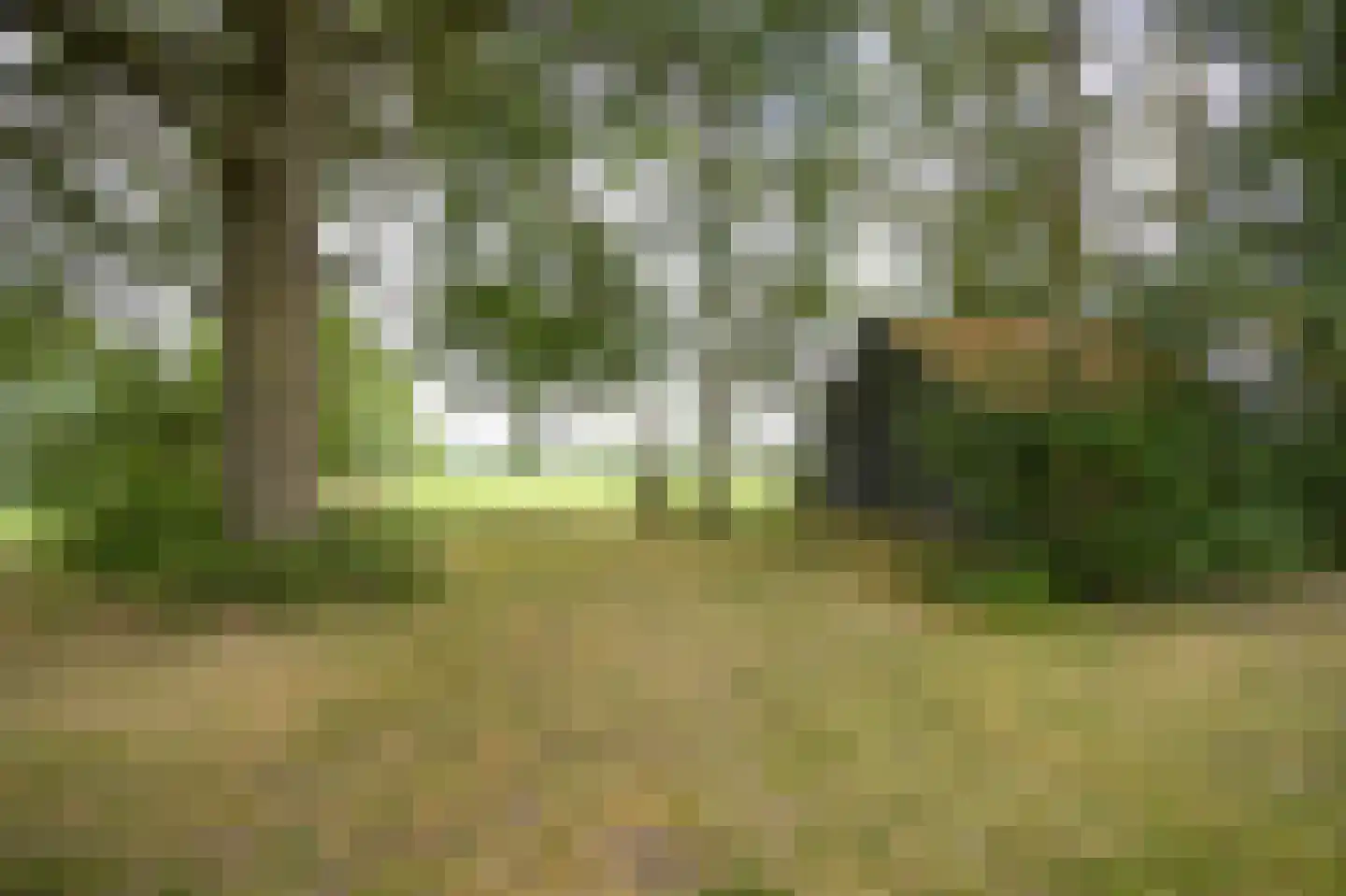 Breeschoten 3 Scherpenzeel thumbnail 31