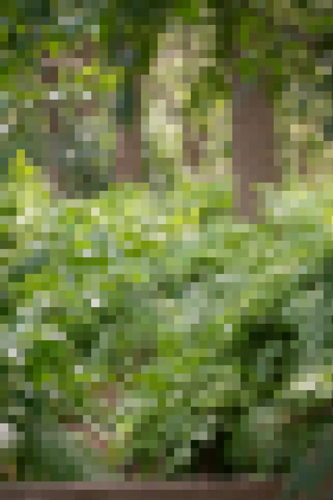 Breeschoten 3 Scherpenzeel thumbnail 33