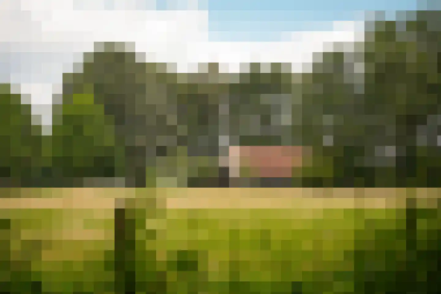 Breeschoten 3 Scherpenzeel thumbnail 34