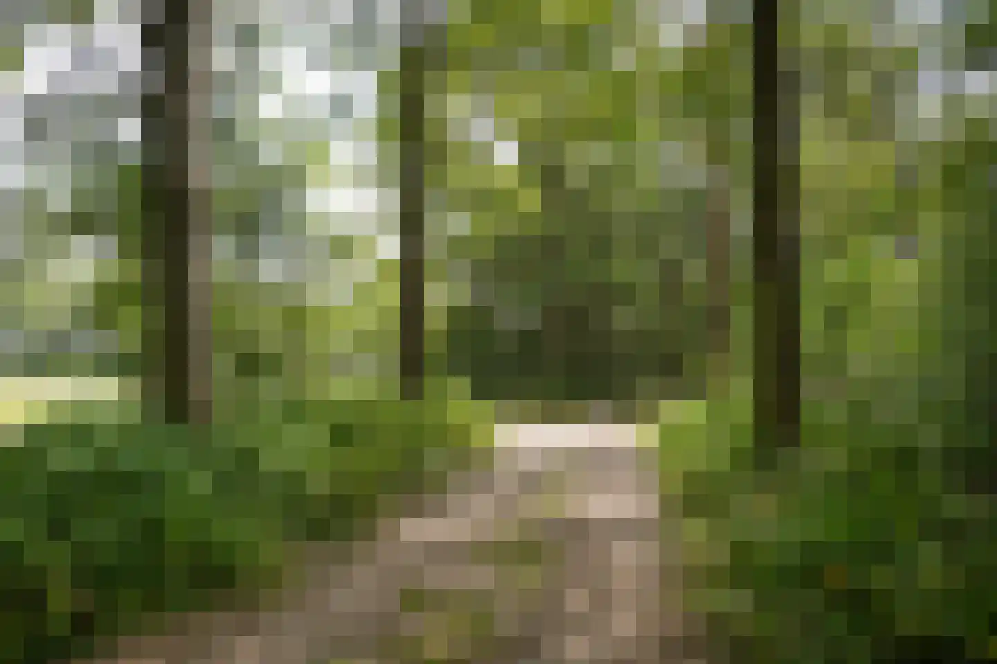 Breeschoten 3 Scherpenzeel thumbnail 35