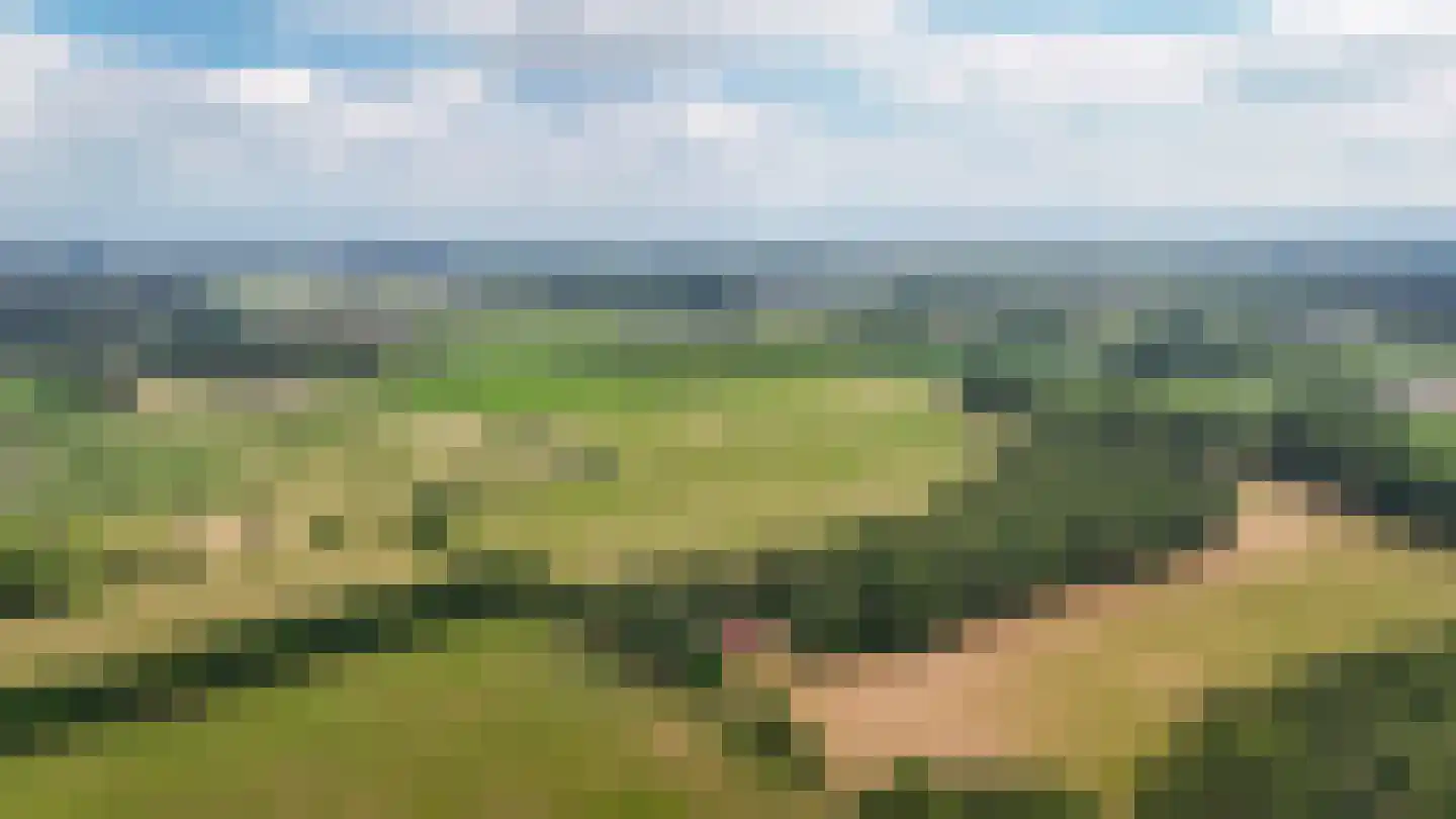 Breeschoten 3 Scherpenzeel thumbnail 4