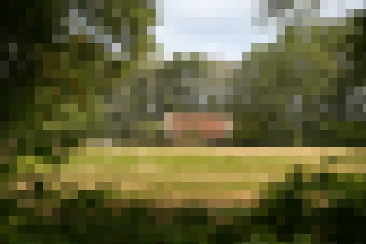 Breeschoten 3 Scherpenzeel thumbnail 5