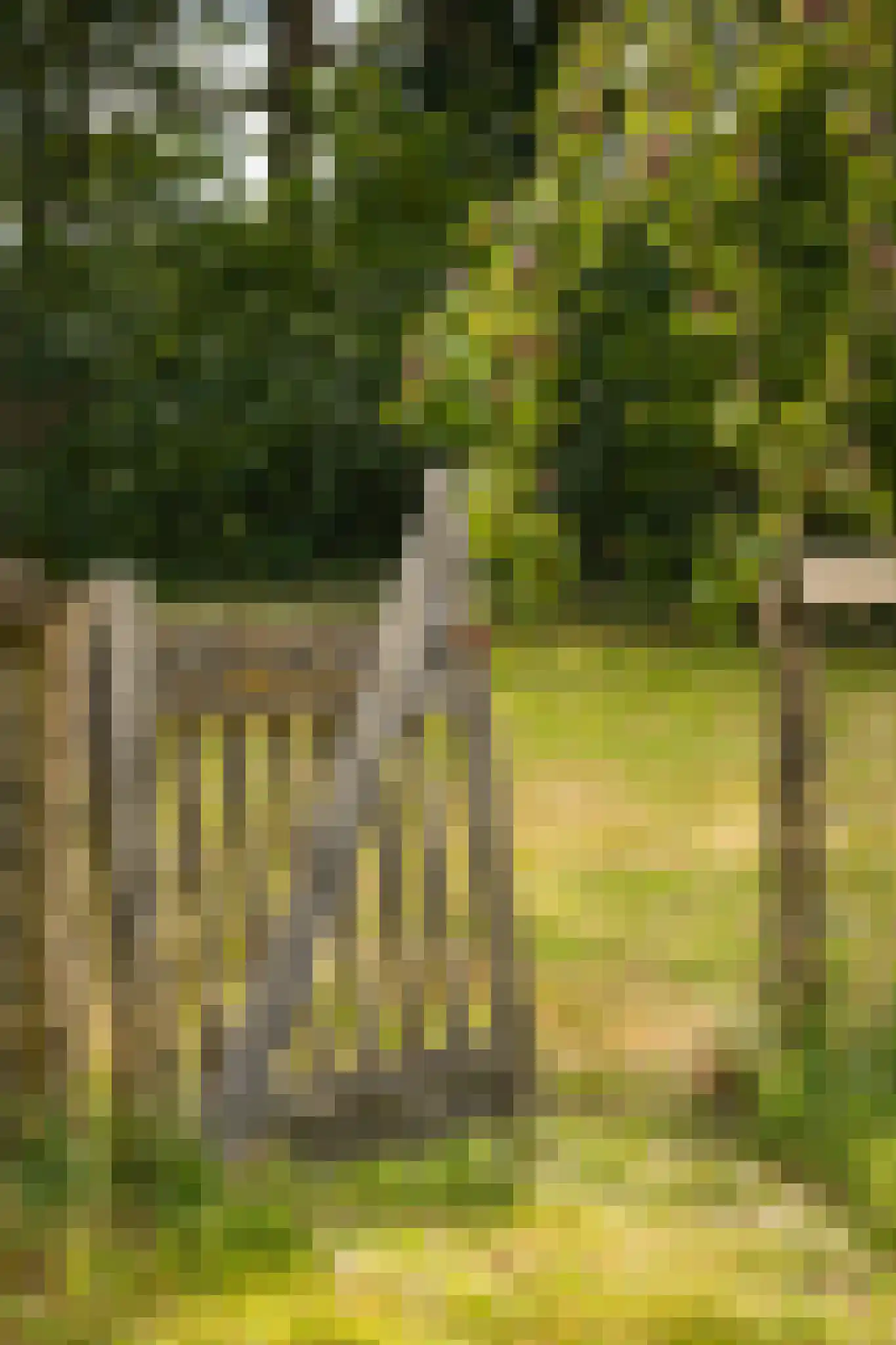 Breeschoten 3 Scherpenzeel thumbnail 6