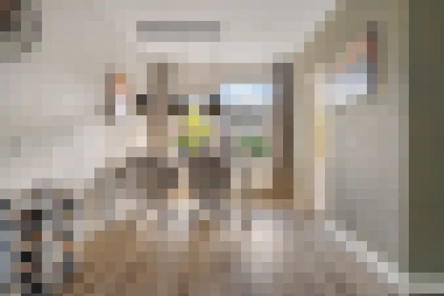 Breeschotenlaan 6 Maarn thumbnail 17