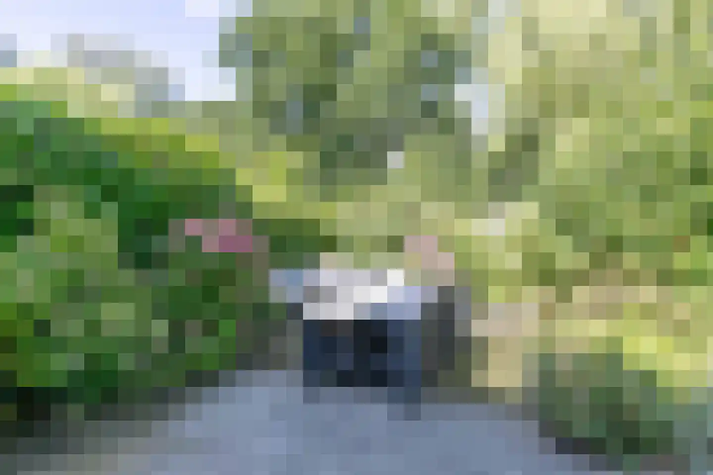 Breeschotenlaan 7 Maarn thumbnail 18