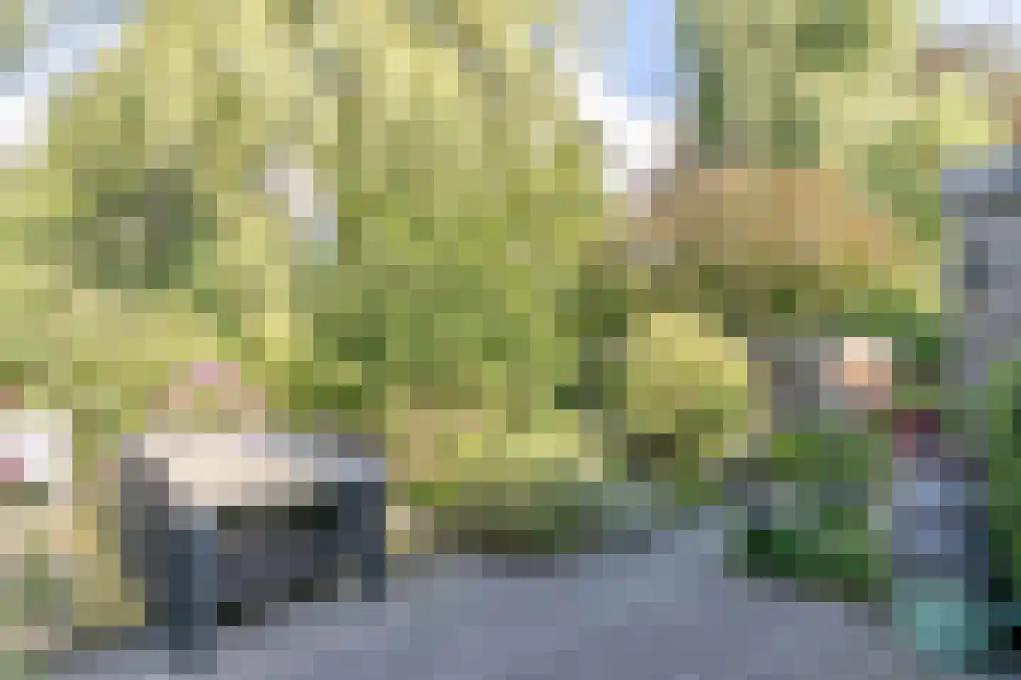 Breeschotenlaan 7 Maarn thumbnail 20