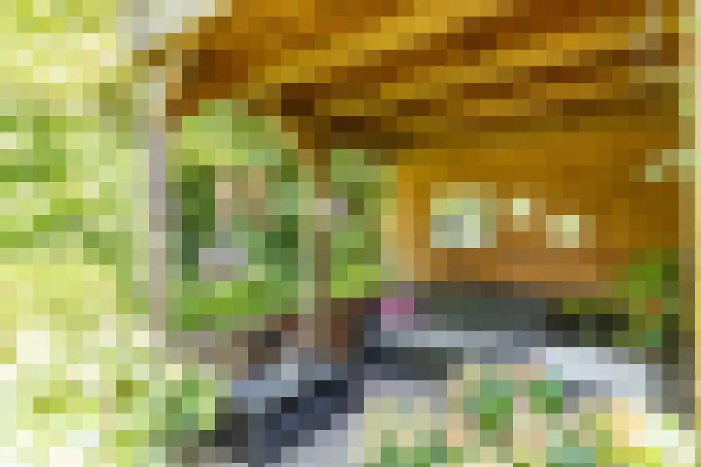 Breeschotenlaan 7 Maarn thumbnail 21