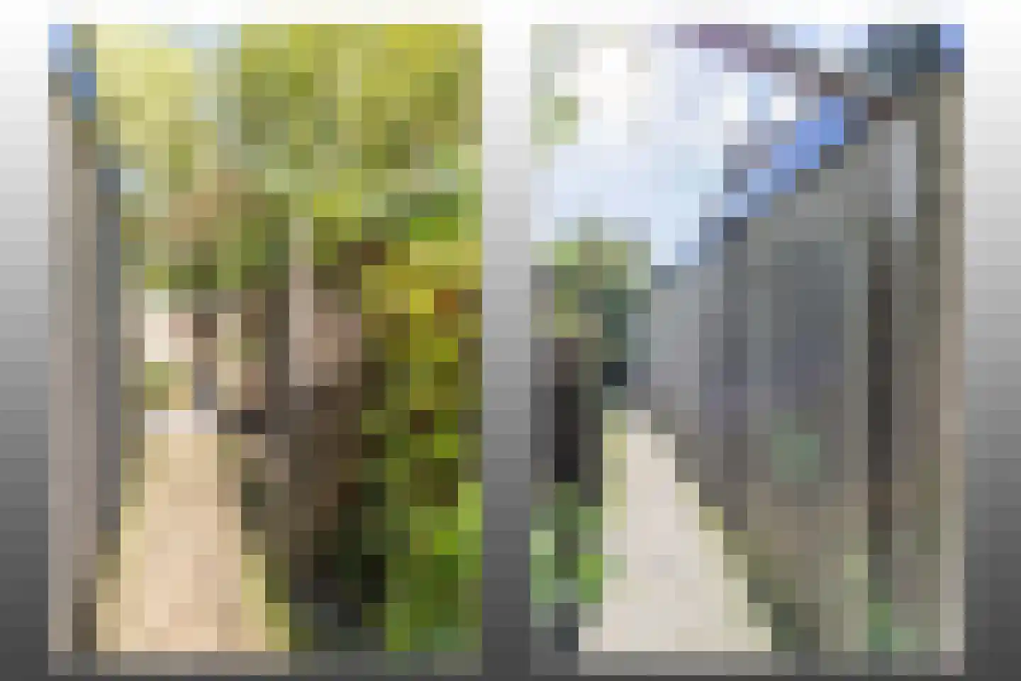 Breeschotenlaan 7 Maarn thumbnail 32