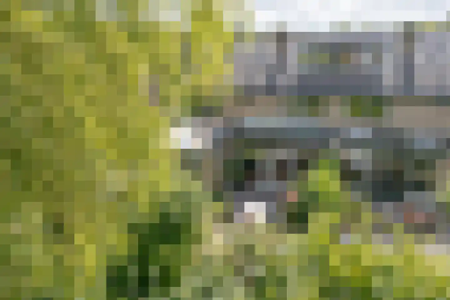 Breeschotenlaan 7 Maarn thumbnail 33