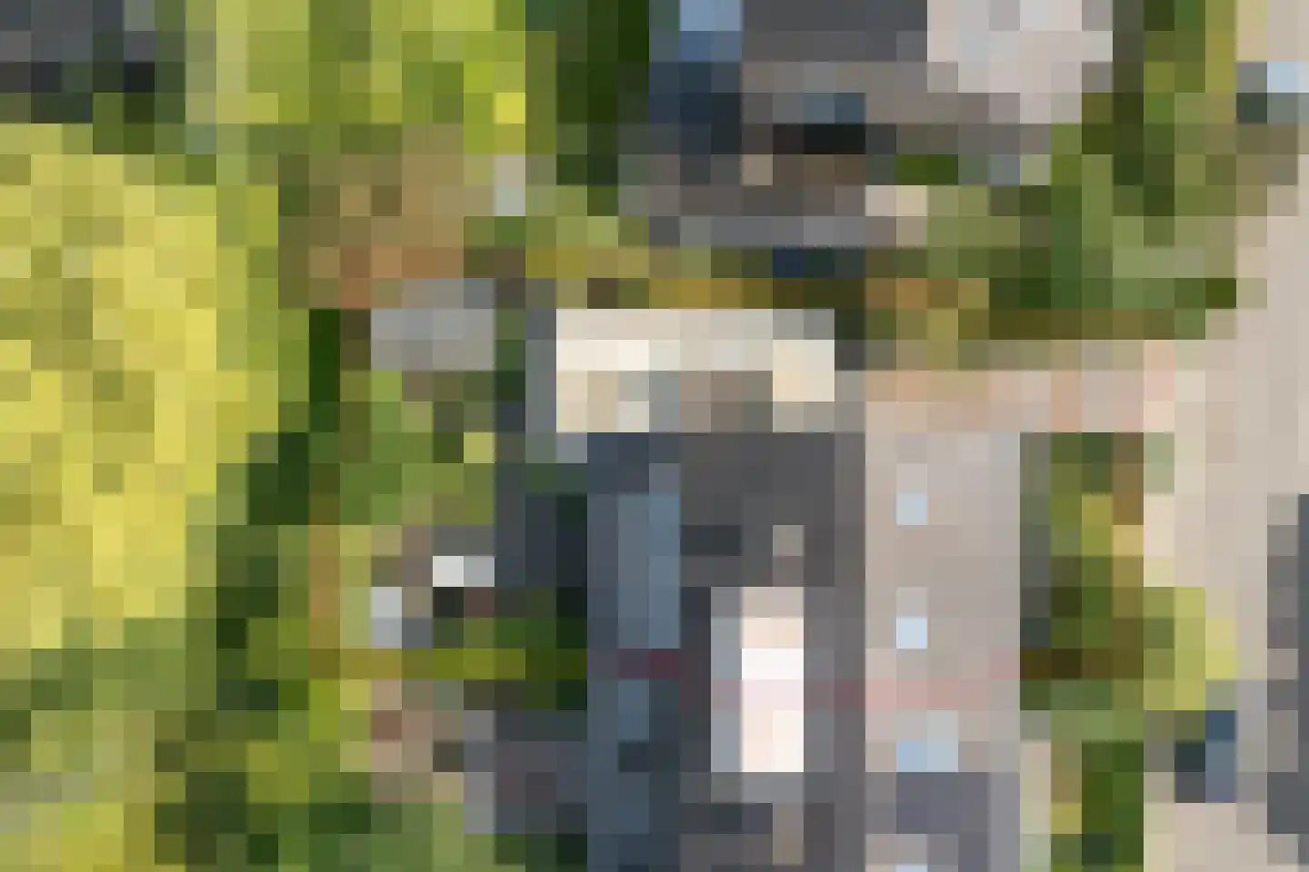 Breeschotenlaan 7 Maarn thumbnail 34