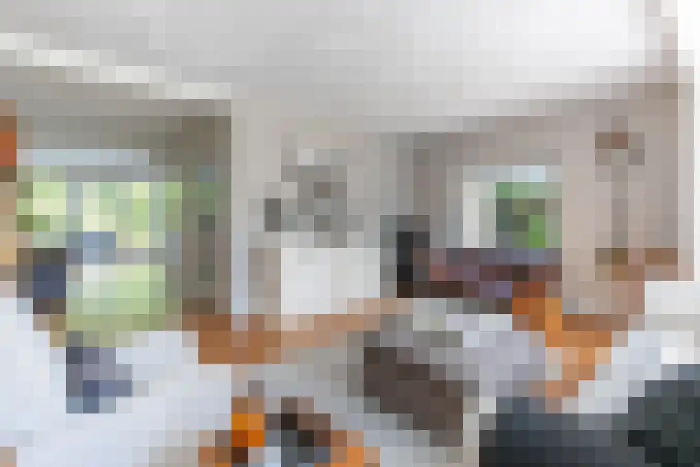 Breeschotenlaan 7 Maarn thumbnail 9