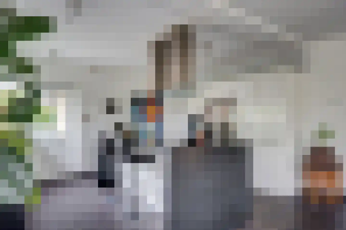 Breesloot 15 Broek op Langedijk thumbnail 12