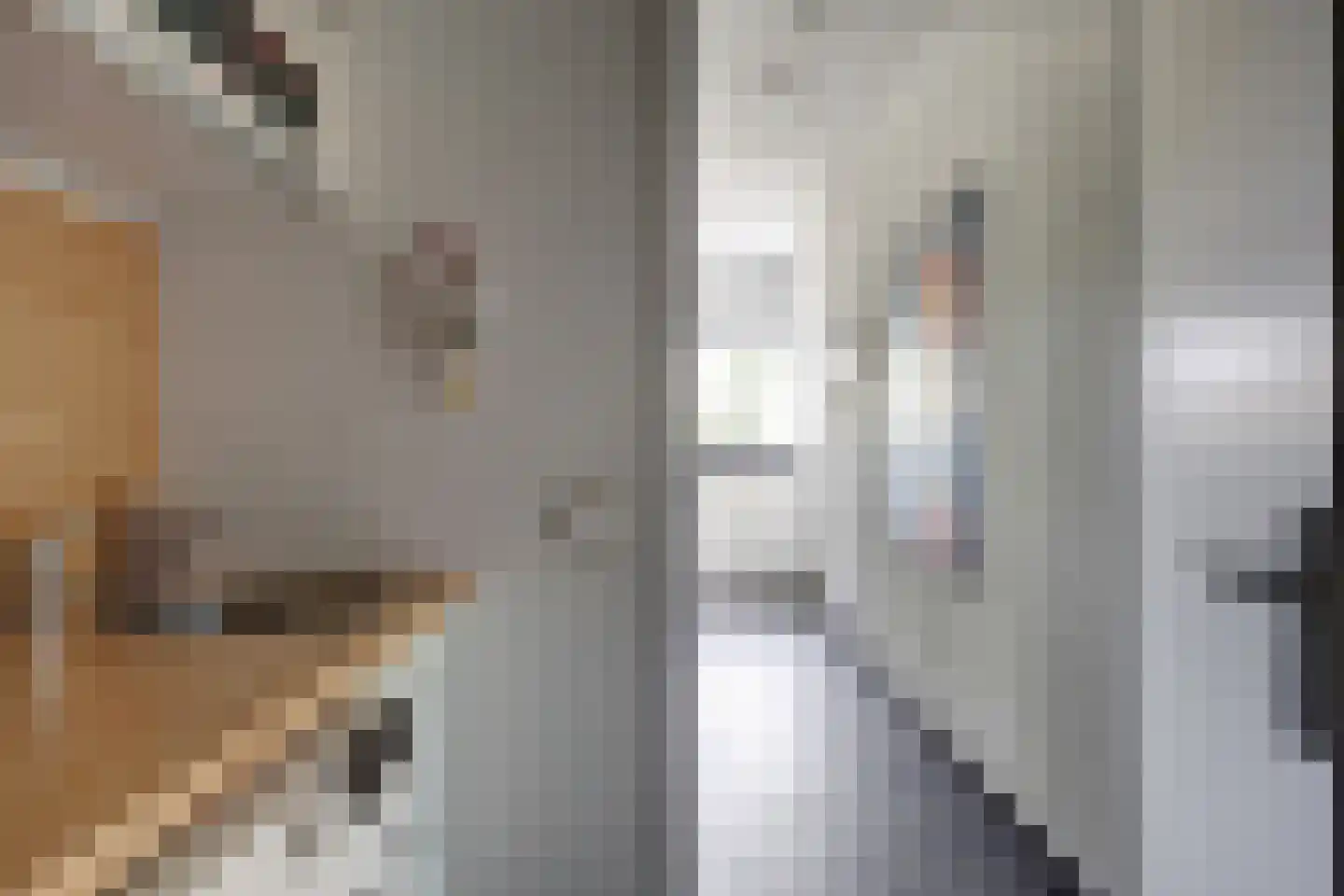 Breesloot 15 Broek op Langedijk thumbnail 17