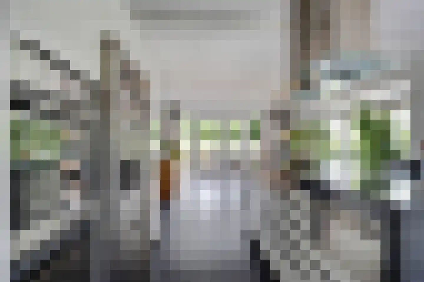 Breesloot 15 Broek op Langedijk thumbnail 18