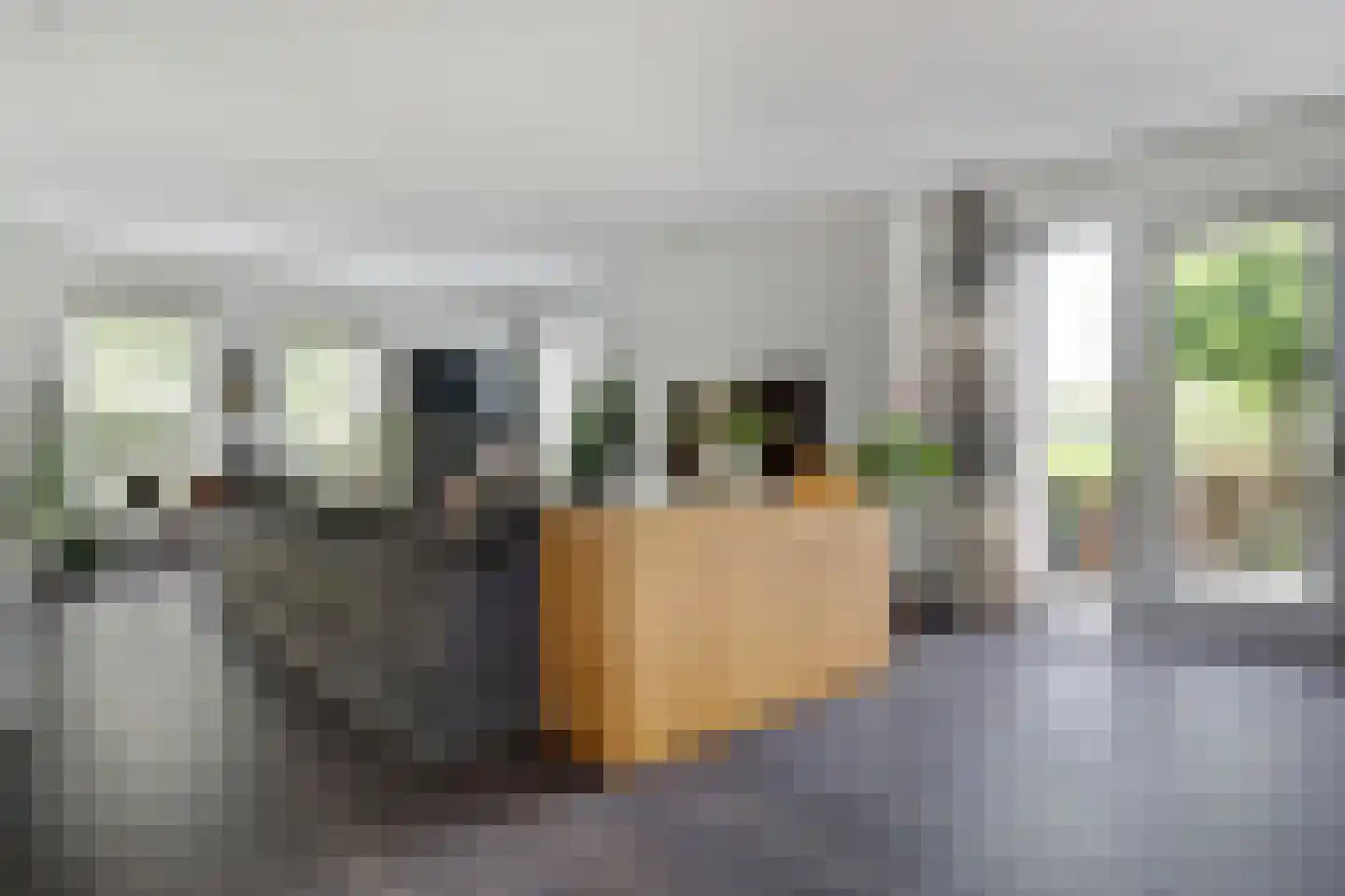 Breesloot 15 Broek op Langedijk thumbnail 20